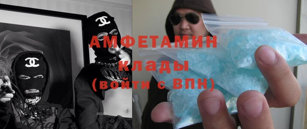 шишки Осинники